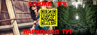 крисы Обь