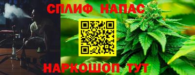 крисы Обь