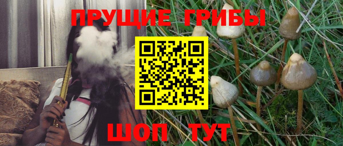 Галлюциногенные грибы Magic Shrooms  Вход с VPN  Туапсе  Псилоцибиновые грибы прущие грибы 