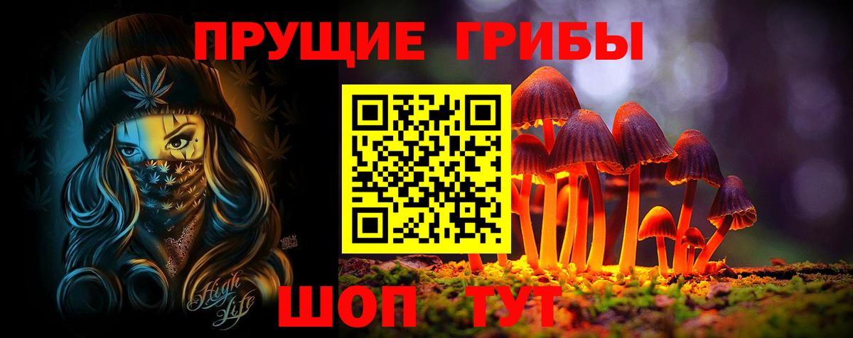 Псилоцибиновые грибы мицелий Туапсе